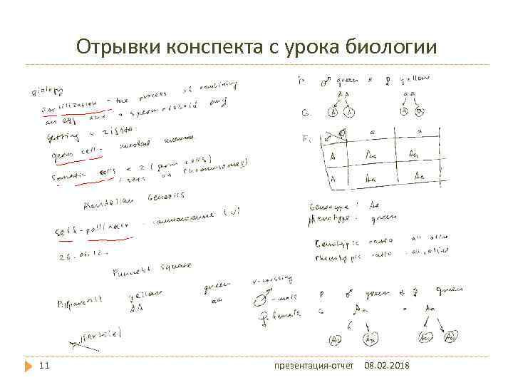 Отрывки конспекта с урока биологии 11 презентация-отчет 08. 02. 2018 