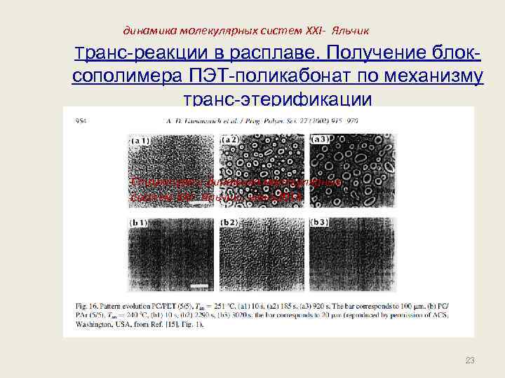 динамика молекулярных систем XXI- Яльчик Транс-реакции в расплаве. Получение блок- сополимера ПЭТ-поликабонат по механизму
