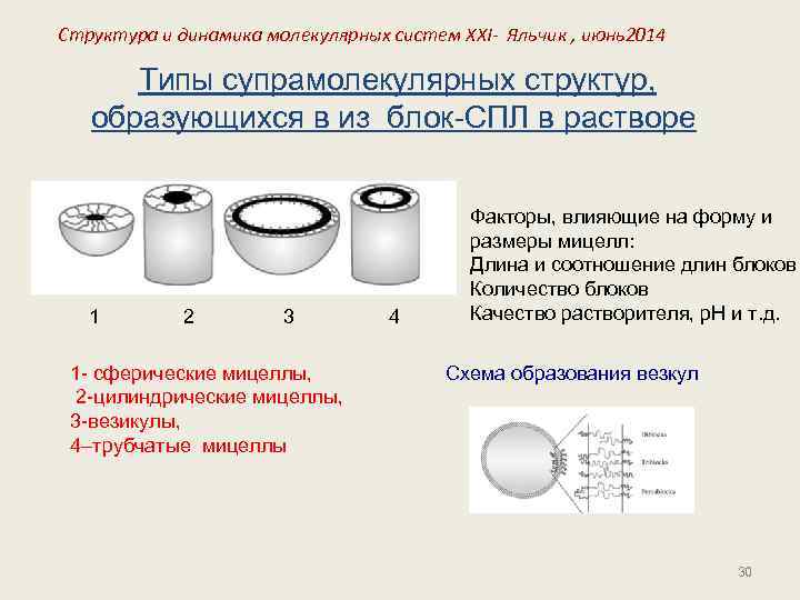 Структура и динамика молекулярных систем XXI- Яльчик , июнь2014 Типы супрамолекулярных структур, образующихся в