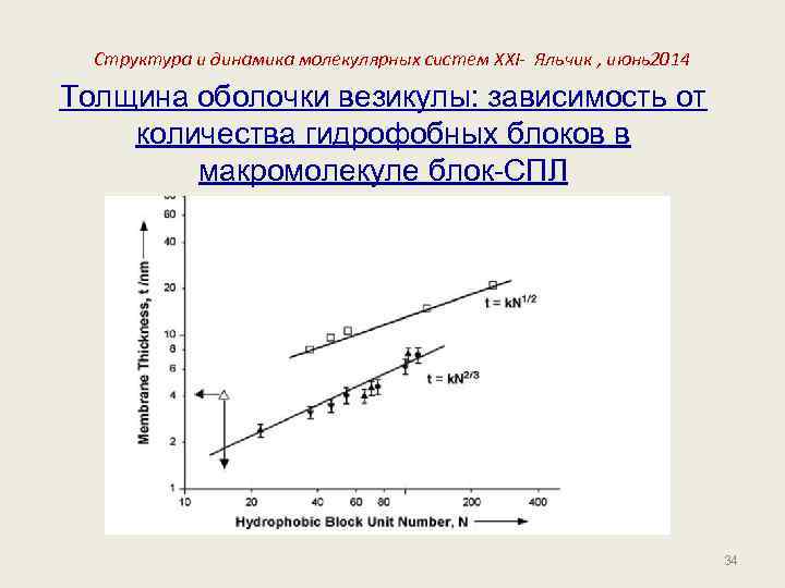Структура и динамика молекулярных систем XXI- Яльчик , июнь2014 Толщина оболочки везикулы: зависимость от