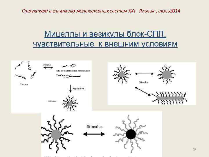 Структура и динамика молекулярных систем XXI- Яльчик , июнь2014 Мицеллы и везикулы блок-СПЛ, чувствительные
