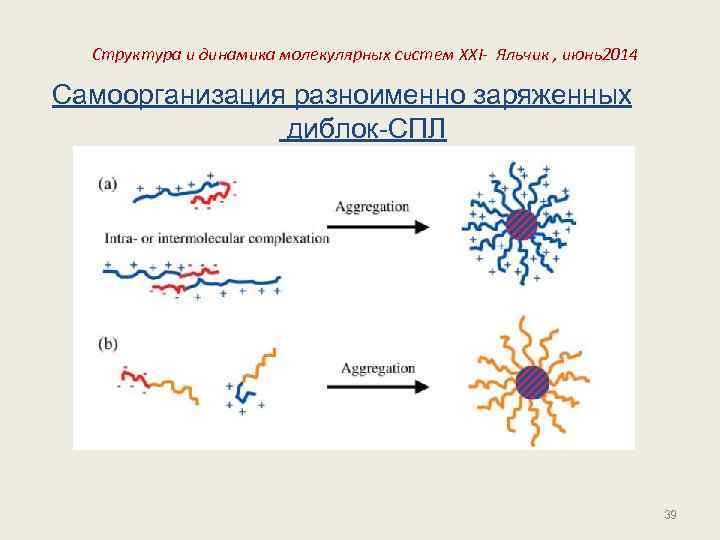 Структура и динамика молекулярных систем XXI- Яльчик , июнь2014 Самоорганизация разноименно заряженных диблок-СПЛ 39
