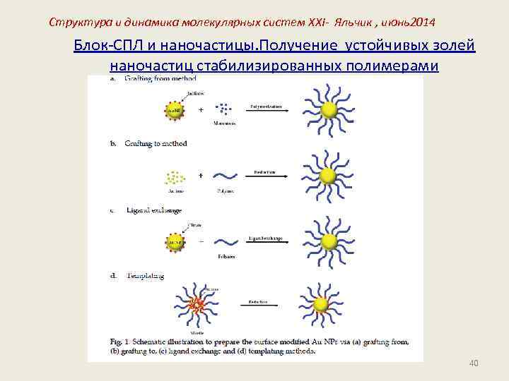 Структура и динамика молекулярных систем XXI- Яльчик , июнь2014 Блок-СПЛ и наночастицы. Получение устойчивых