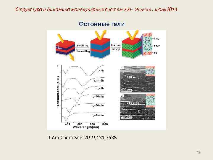 Структура и динамика молекулярных систем XXI- Яльчик , июнь2014 Фотонные гели J. Am. Chem.