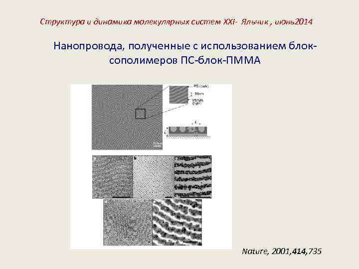 Структура и динамика молекулярных систем XXI- Яльчик , июнь2014 Нанопровода, полученные с использованием блоксополимеров