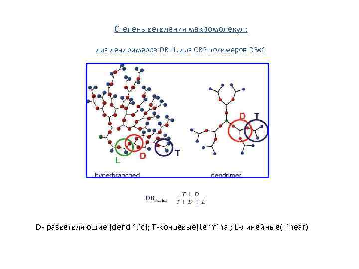 Степень ветвления макромолекул: для дендримеров DB=1, для СВР полимеров DB<1 D- разветвляющие (dendritic); T-концевые(terminal;
