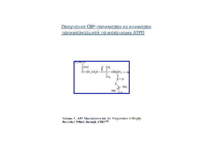 Получение СВР-полимеров из инимеров полимеризацией по механизму АТРП 