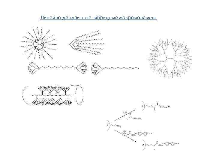 Линейно-дендритные гибридные макромолекулы 