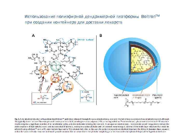 Использование полиэфирной дендримерной платформы Boltron. TM при создании контейнера для доставки лекарств 