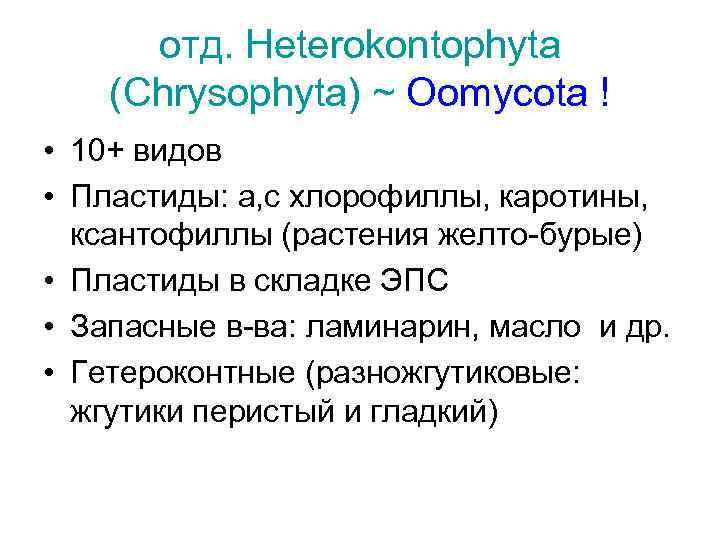 отд. Heterokontophyta (Chrysophyta) ~ Oomycota ! • 10+ видов • Пластиды: a, c хлорофиллы,