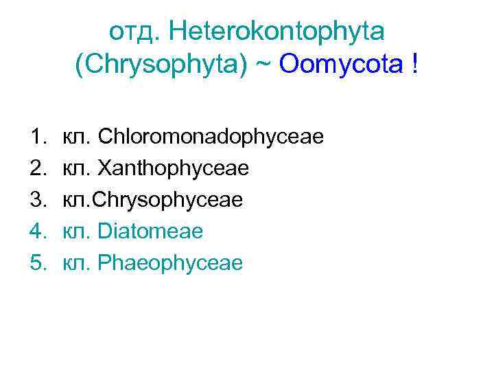 отд. Heterokontophyta (Chrysophyta) ~ Oomycota ! 1. 2. 3. 4. 5. кл. Chloromonadophyceae кл.