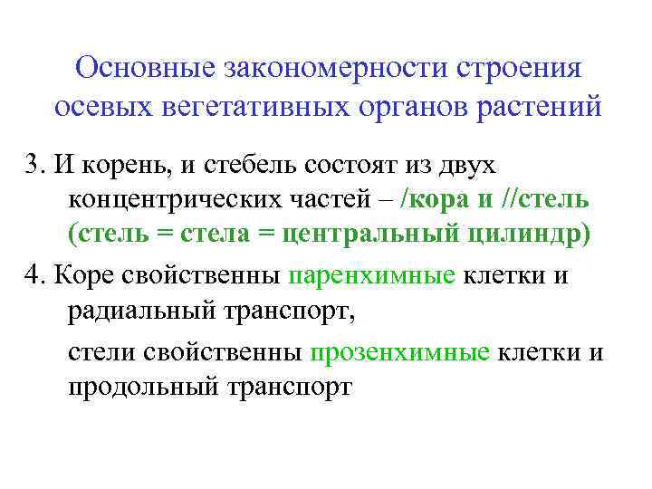 Основные закономерности строения осевых вегетативных органов растений 3. И корень, и стебель состоят из
