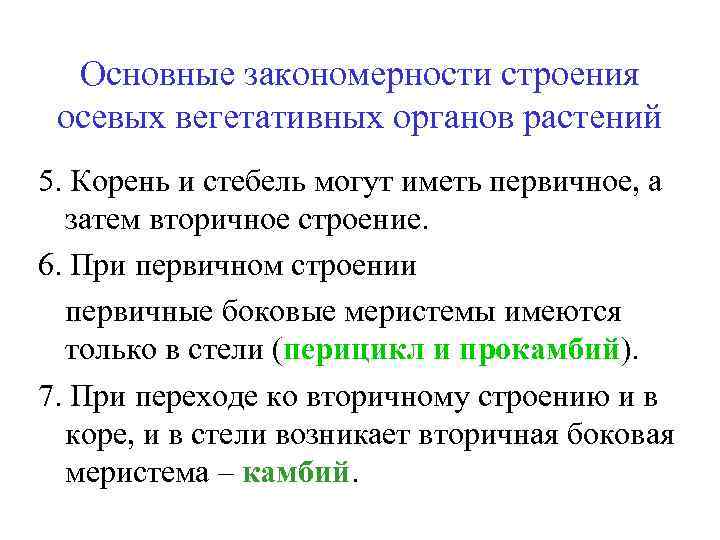 Закономерности строения. Закономерности строения вегетативных органов. Общие закономерности строения внутренних органов. Вегетативные органы растений закономерности строения. Общие закономерности органов растения.