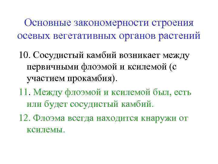 Основные закономерности строения осевых вегетативных органов растений 10. Сосудистый камбий возникает между первичными флоэмой