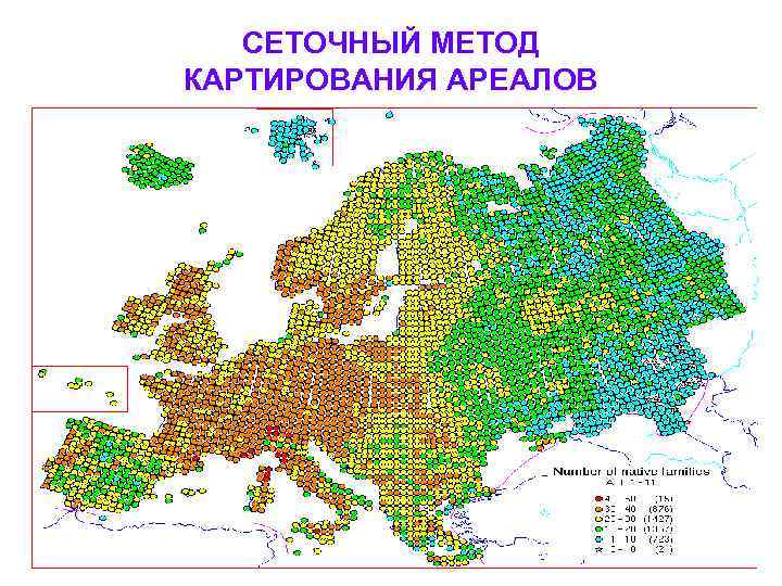 Формы ареалов