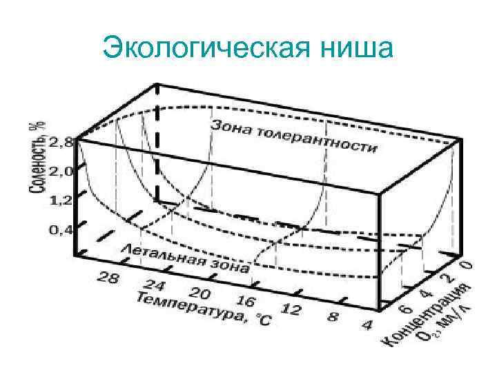 Экологическая ниша 