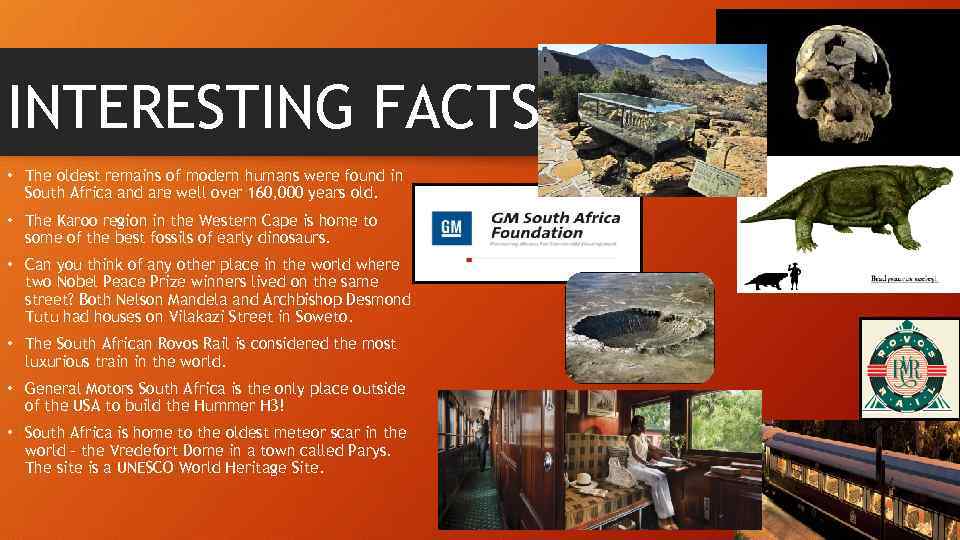 INTERESTING FACTS • The oldest remains of modern humans were found in South Africa