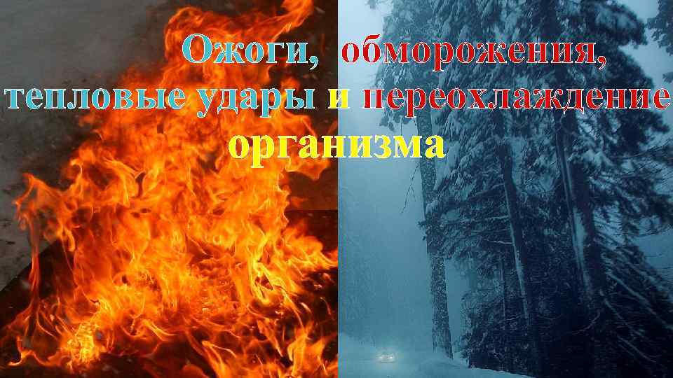 Ожоги, обморожения, тепловые удары и переохлаждение организма 
