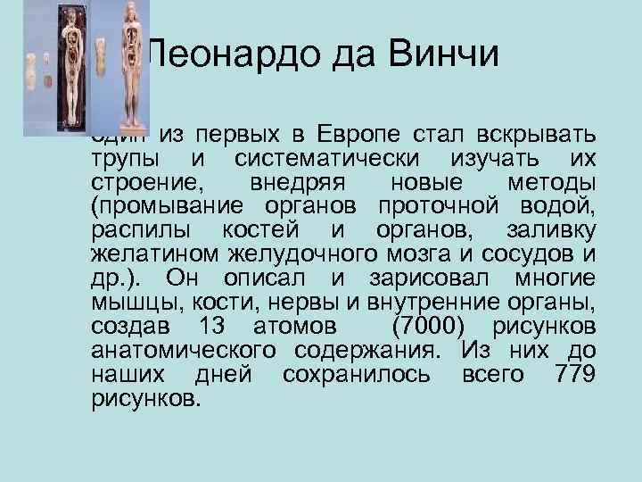 Леонардо да Винчи – один из первых в Европе стал вскрывать трупы и систематически