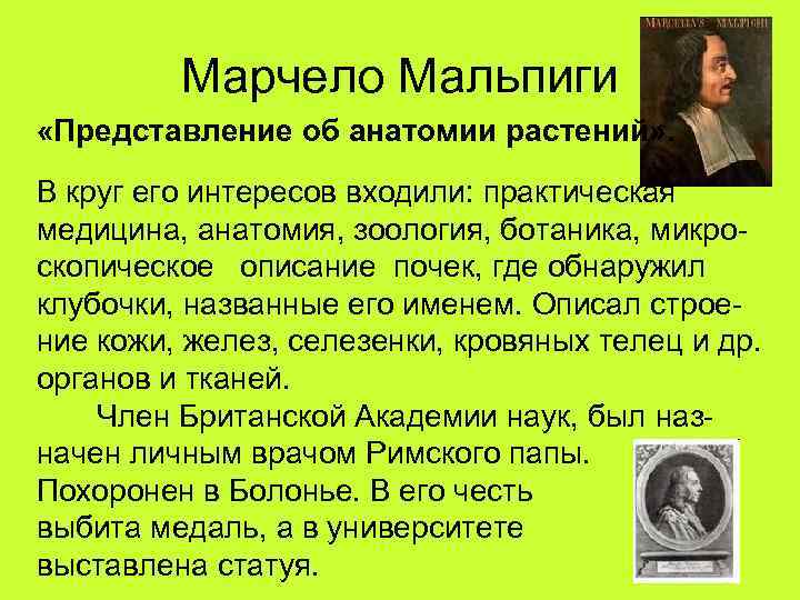 Марчело Мальпиги «Представление об анатомии растений» . В круг его интересов входили: практическая медицина,