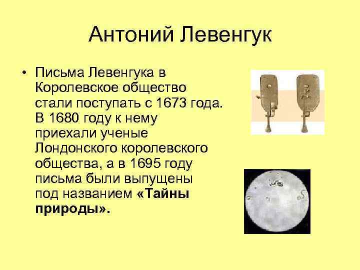 Антоний Левенгук • Письма Левенгука в Королевское общество стали поступать с 1673 года. В