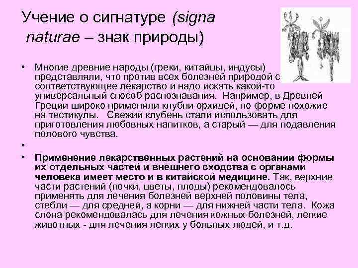 Пример учения. Учение о сигнатурах. Учение о сигнатурах (знаках).. Парацельс учение о сигнатурах. Примеры учения о сигнатуре.