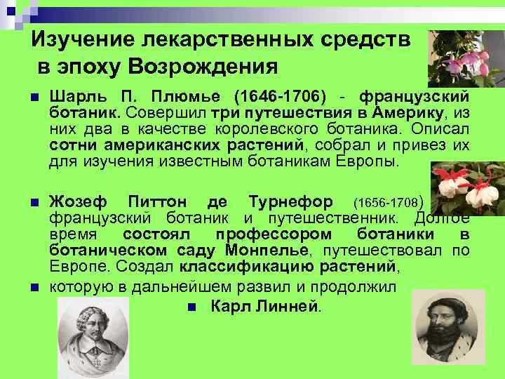 Изучение лекарственных средств в эпоху Возрождения n Шарль П. Плюмье (1646 -1706) - французский