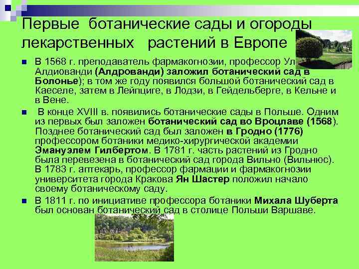 Первые ботанические сады и огороды лекарственных растений в Европе n n n В 1568