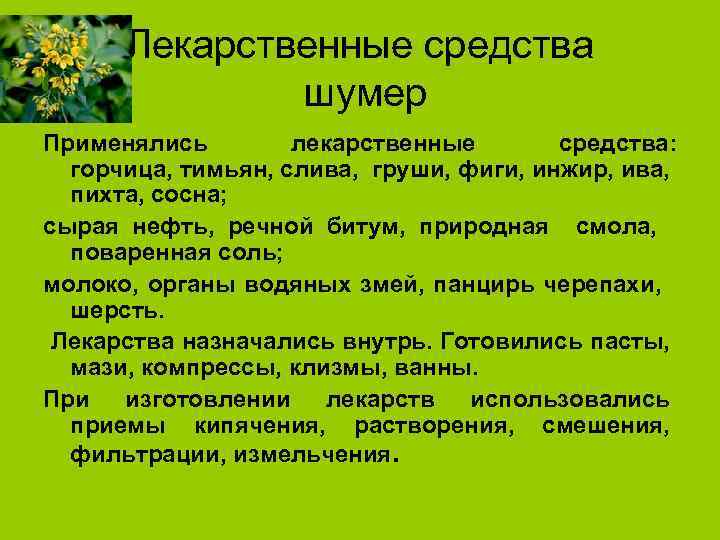 Лекарственные средства шумер Применялись лекарственные средства: горчица, тимьян, слива, груши, фиги, инжир, ива, пихта,