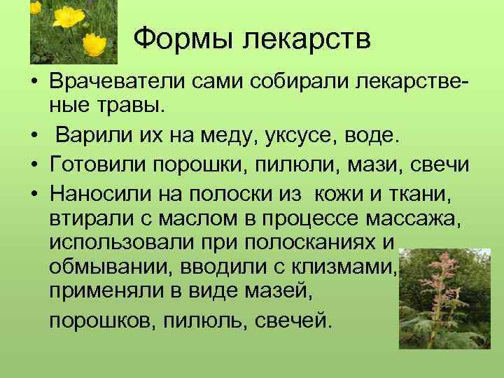 Формы лекарств • Врачеватели сами собирали лекарственые травы. • Варили их на меду, уксусе,