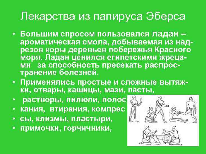 Лекарства из папируса Эберса • Большим спросом пользовался ладан – ароматическая смола, добываемая из