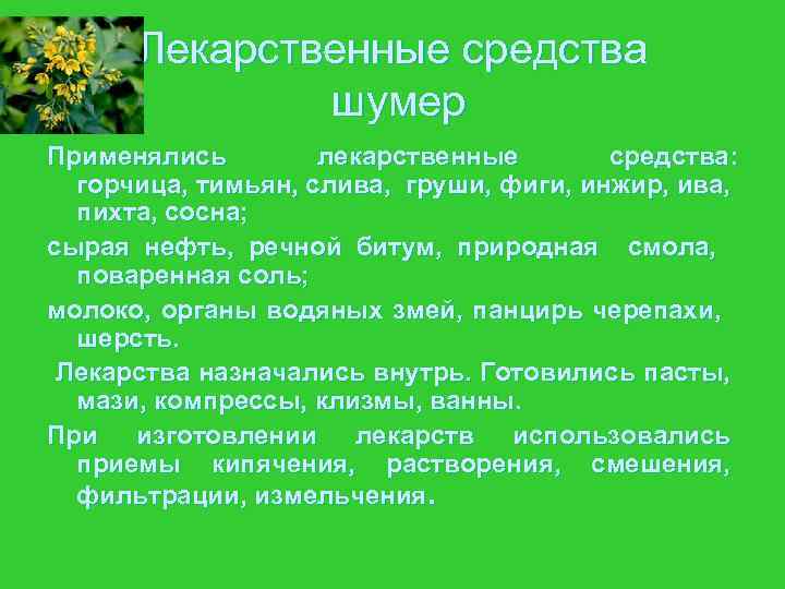 Лекарственные средства шумер Применялись лекарственные средства: горчица, тимьян, слива, груши, фиги, инжир, ива, пихта,