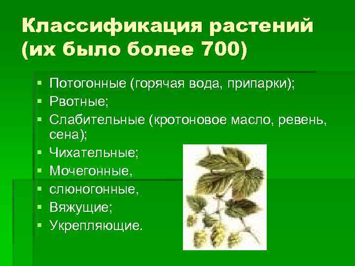 Классификация растений (их было более 700) § § § § Потогонные (горячая вода, припарки);