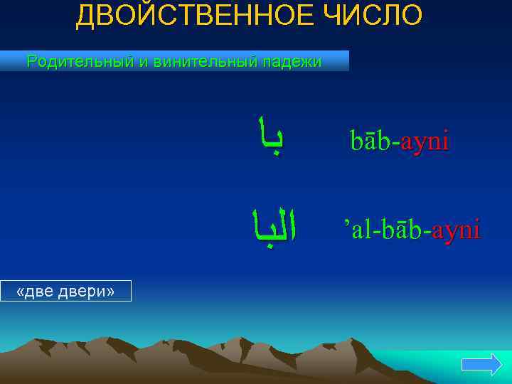 ДВОЙСТВЕННОЕ ЧИСЛО Родительный и винительный падежи ﺑﺎ ﺍﻟﺒﺎ «две двери» bāb-ayni ’al-bāb-ayni 