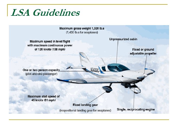 LSA Guidelines 