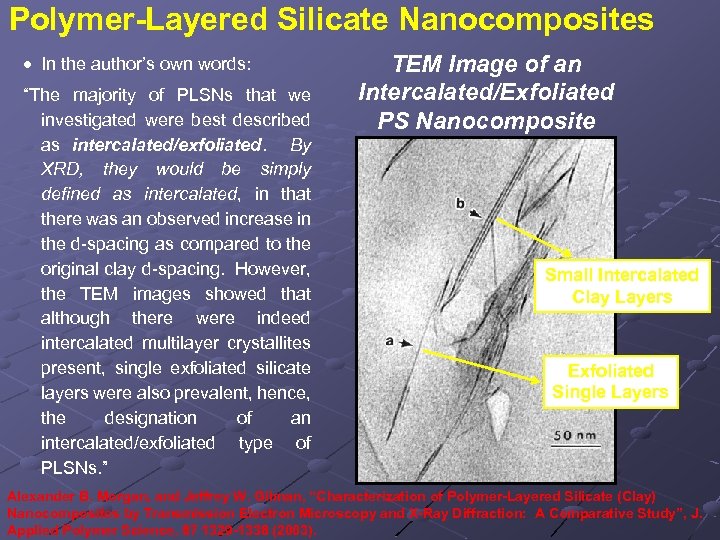 Polymer-Layered Silicate Nanocomposites · In the author’s own words: “The majority of PLSNs that