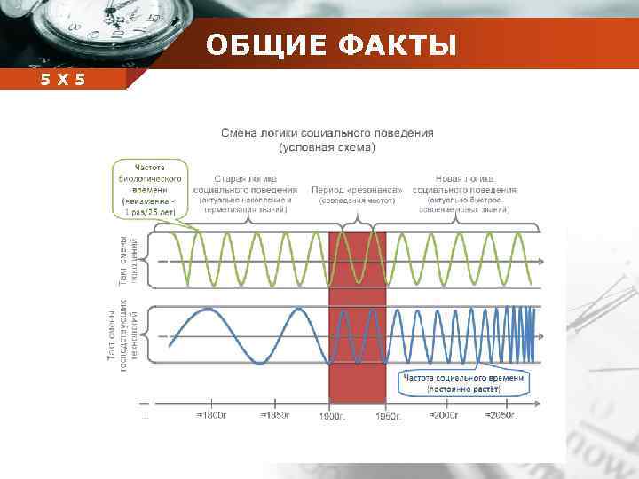 ОБЩИЕ ФАКТЫ Company 5 5 Х name 