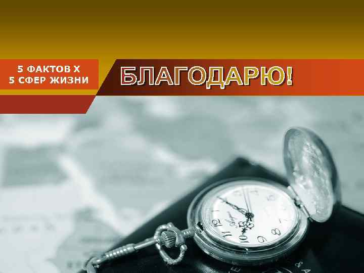 Company 5 ФАКТОВ Х LOGO 5 СФЕР ЖИЗНИ 