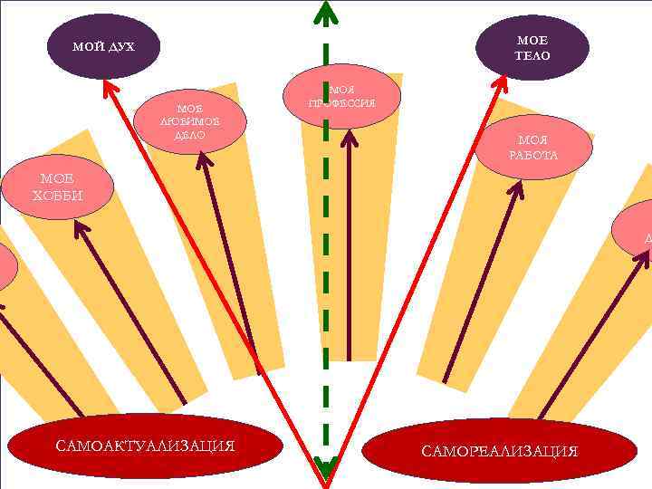 МОЕ ТЕЛО МОЙ ДУХ МОЕ ЛЮБИМОЕ ДЕЛО МОЯ ПРОФЕССИЯ МОЯ РАБОТА МОЕ ХОББИ Д