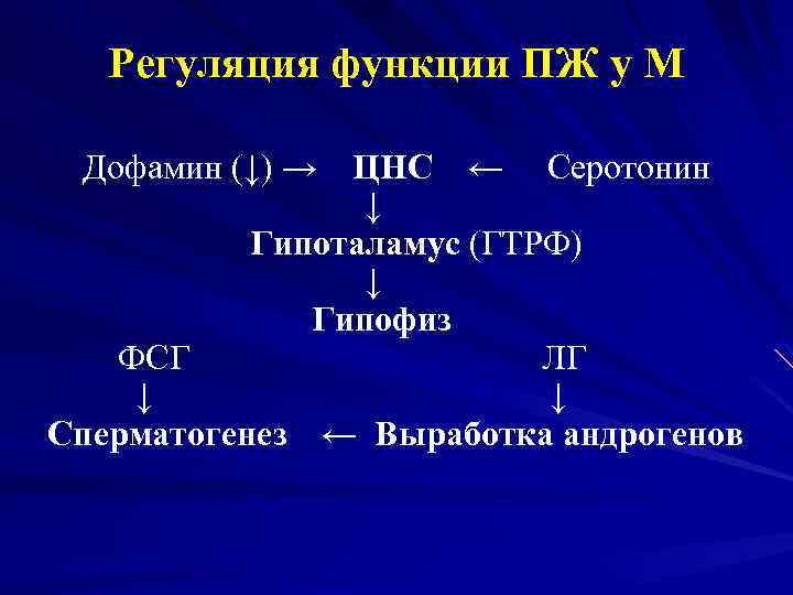 Регуляция функции ПЖ у М Дофамин (↓) → ЦНС ← Серотонин ↓ Гипоталамус (ГТРФ)