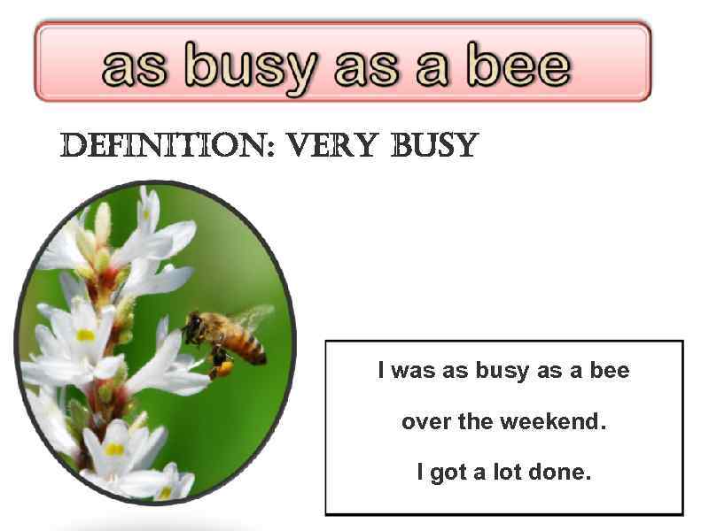 definition: very busy I was as busy as a bee over the weekend. I