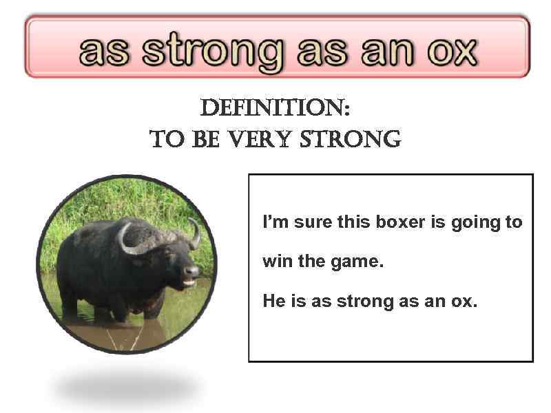 definition: to be very strong I’m sure this boxer is going to win the