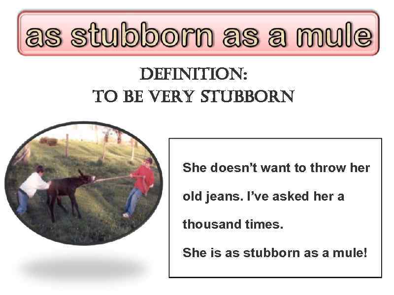 definition: to be very stubborn She doesn’t want to throw her old jeans. I’ve