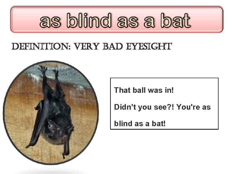 definition: very bad eyesight That ball was in! Didn’t you see? ! You're as