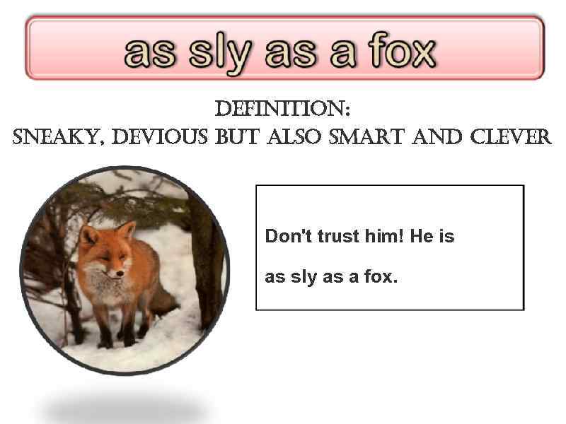 definition: sneaky, devious but also smart and clever Don't trust him! He is as