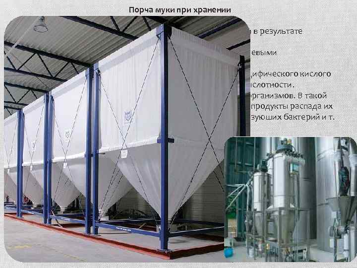 Порча муки при хранении Прогоркание является следствием изменений жира муки в результате гидролитических и
