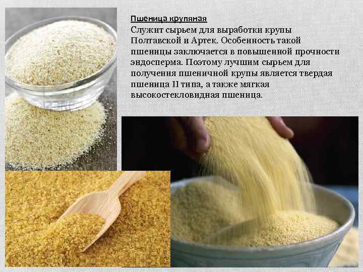 Пшеница крупяная Служит сырьем для выработки крупы Полтавской и Артек. Особенность такой пшеницы заключается