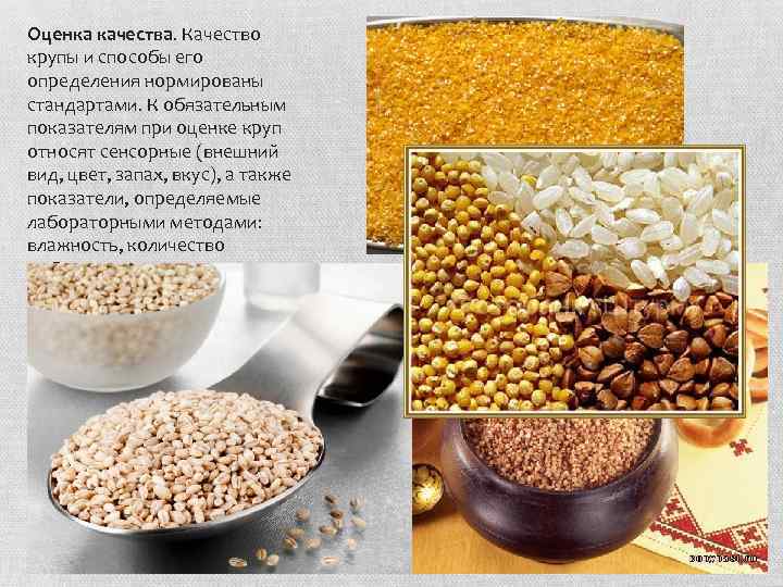 Оценка качества. Качество крупы и способы его определения нормированы стандартами. К обязательным показателям при