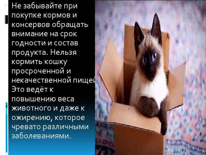  Не забывайте при покупке кормов и консервов обращать внимание на срок годности и