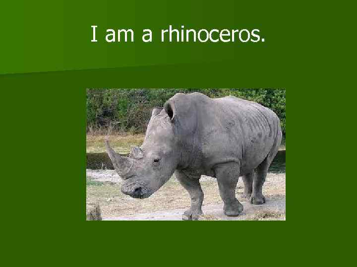 I am a rhinoceros. 